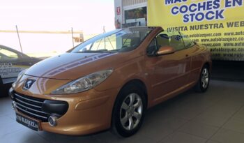 Peugeot 307Cc  2.0G 140Cv 2P Cabrio lleno